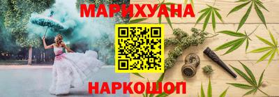 индика Дубна