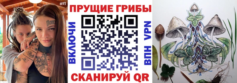Псилоцибиновые грибы Psilocybe  наркота  Михайловск 